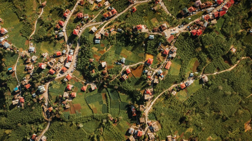 Batubulan Village 