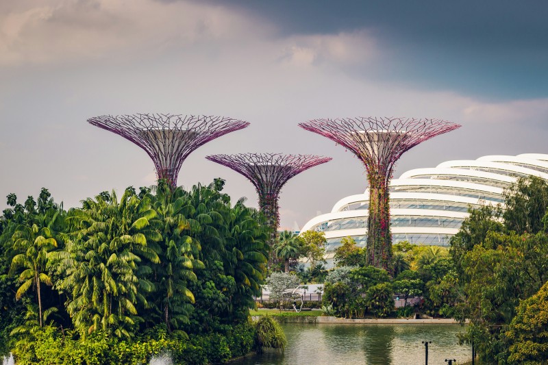 Gardens by the Bay Singapore